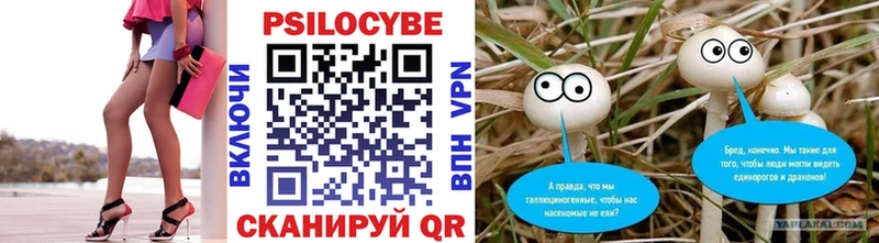 Галлюциногенные грибы Psilocybine cubensis  Бор 