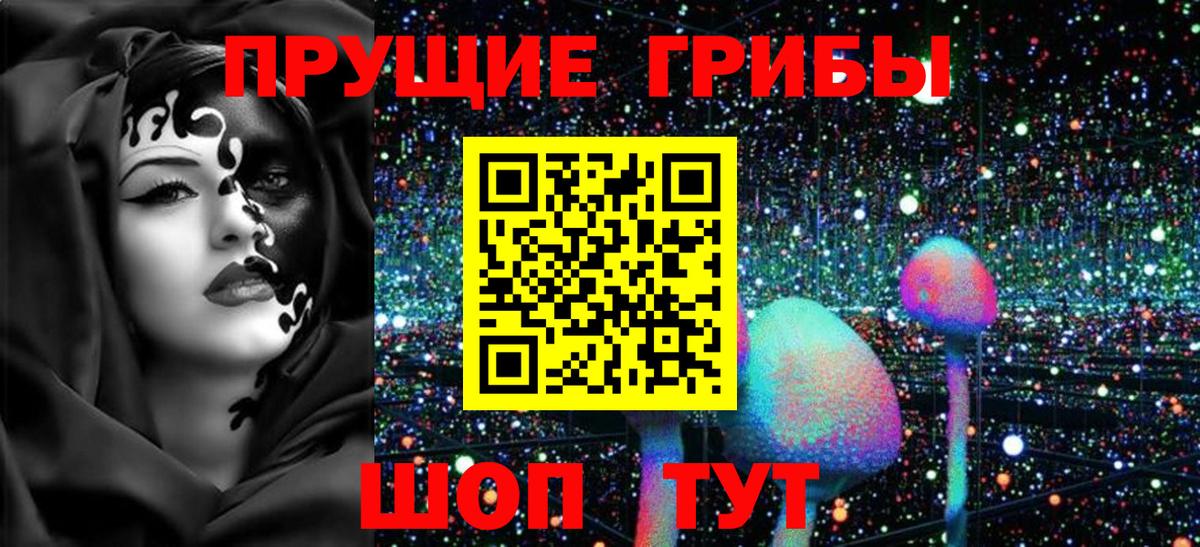 Галлюциногенные грибы ЛСД Бор
